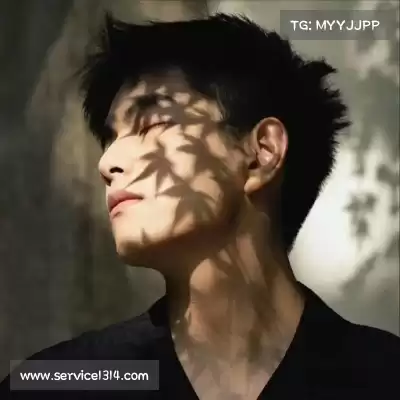 成菲笛